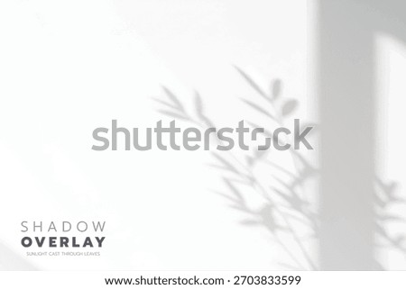 Soft leaf shadows cast on a bright, clean background. The natural sunlight creates an elegant, minimalistic overlay effect, perfect for use in design projects, presentations, social media graphics