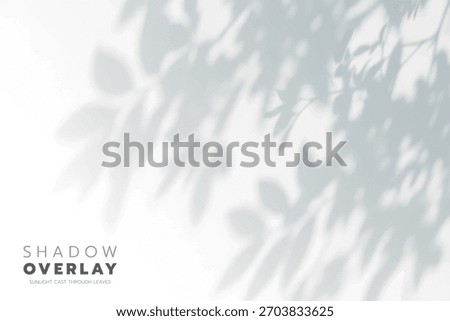 Soft leaf shadows cast on a bright, clean background. The natural sunlight creates an elegant, minimalistic overlay effect, perfect for use in design projects, presentations, social media graphics, or