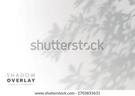 Soft leaf shadows cast on a bright, clean background. The natural sunlight creates an elegant, minimalistic overlay effect, perfect for use in design projects, presentations, social media graphics