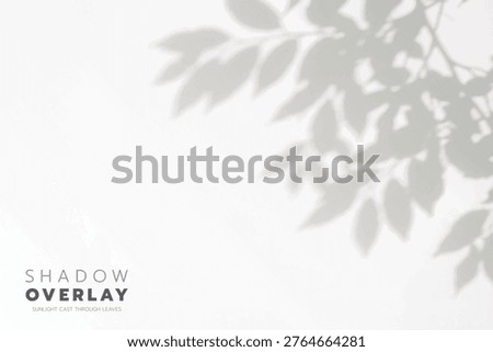 Soft leaf shadows cast on a bright, clean background. The natural sunlight creates an elegant, minimalistic overlay effect, perfect for use in design projects, presentations, social media graphics