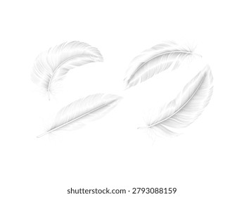 Soft and light realistic white feathers gently falling in the air for elegant dreamy background fantasy freedom concept design