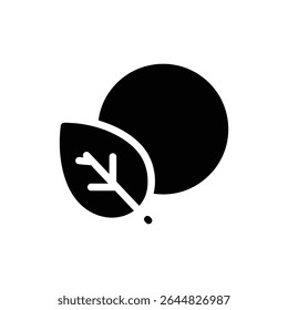Soft Moon Shape Above Leaf for Serene Nature Scene