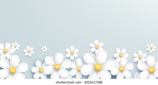 Soft pastel background with 3d realistic chamomile or daisy flower, blossom spread from the bottom of the screen, graphic element for design