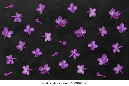 Soft pastel color 3d floral background. Purple Lilac flowers and petals, watercolor polka style vector luxury illustration. Dark black premium template