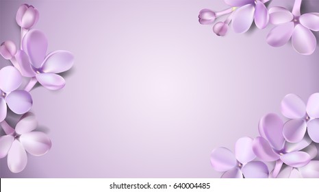 White Purple Flower Background Images Stock Photos Vectors Shutterstock
