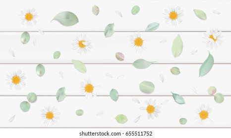 Soft pastel color floral 3d illustration on white background. Yellow wild camomile flowers and petals watercolor style vector illustration template. Eco organic pattern