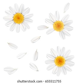 Soft pastel color floral 3d illustration on white background. Yellow wild camomile flowers and petals watercolor style vector summer template. Eco organic pattern