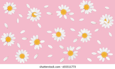 Soft pastel color floral 3d illustration on pink background. Yellow and white wild camomile flowers and petals watercolor style vector illustration template. Eco organic pattern