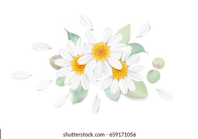Soft pastel color floral 3d illustration on white background. Yellow wild camomile flowers and petals watercolor style vector illustration template. Eco organic pattern