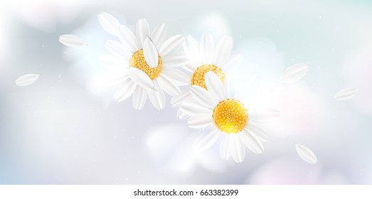 Soft pastel color floral 3d illustration on white background. Yellow wild Camomile flowers with petals watercolor style vector illustration template. Eco organic pattern