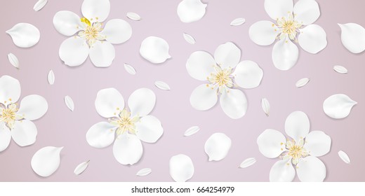 Soft pastel color floral 3d illustration on pink background. White wild Camomile and Sakura flowers with petals watercolor style vector template. Eco organic pattern