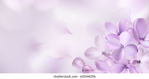 Soft pastel color floral background. Purple Lilac flowers and petals watercolor style vector illustration template