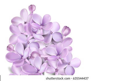Soft pastel color floral background with place for text. Purple Lilac flowers and petals watercolor style vector illustration template