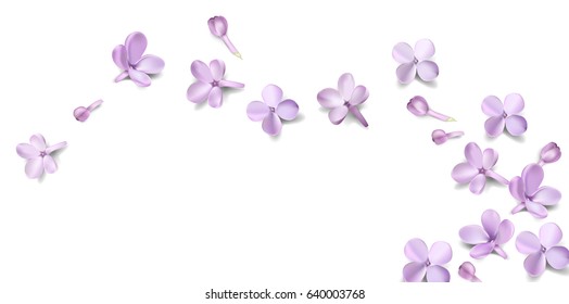 Soft pastel color floral background with place for text. Purple Lilac flowers and petals watercolor style vector illustration template svg