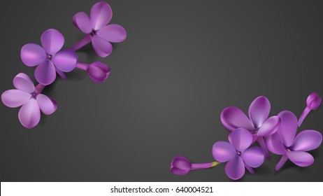 Soft pastel color floral background with place for text. Purple Lilac flowers and petals watercolor style vector illustration template