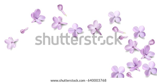 テキスト用のスペースを持つ 柔らかいパステル色の花柄の背景 紫色のライラックの花と花びらの水彩色のベクターイラストテンプレート のベクター画像素材 ロイヤリティフリー