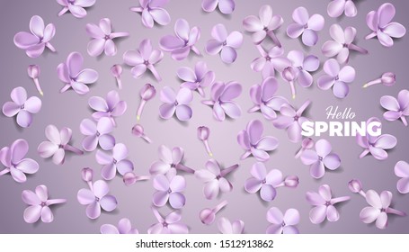 Soft pastel color floral banner background. Purple lilac flowers and petals vector illustration, website template or print card romantic design