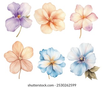 Soft pastel floral set, six watercolor flower illustrations in gentle hues