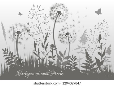 Soft pastel gray background with wild herbs and dandelions. Floral background. Abstract landscape. Vector illustration.