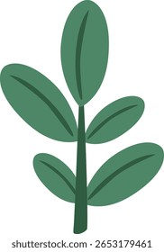 Soft pastel green twig with rounded leaves, great for background fillers, botanical accents, and modern minimal leaf compositions.