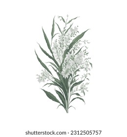 The soft, pastel tones and graceful curves bring a sense of elegance and beauty to any design project. Perfect for adding a touch of artistic sophistication to invitations, stationery, and digital art