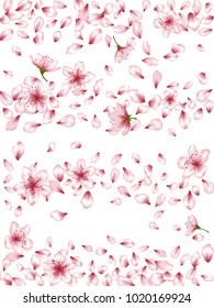 Soft peach or chinese cherry blossom petals blowing flying, flower elements falling vector illustration. Isolated petals and pink flower vector elements falling on white background.