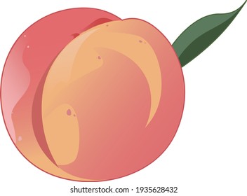 Vector suave de barrido en ilustración