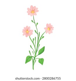 Soft pink flowers arranged on slender stems in a watercolor botanical illustration. A charming floral element for stationery, branding, and decorative projects.