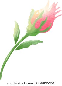 Weiche rosa Rose Bud Aquarell