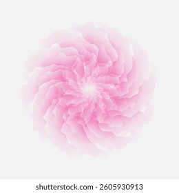 Soft pink rose flat illustration. Rose flower top view isolated on white background. Soft pink rose floral vector illustration