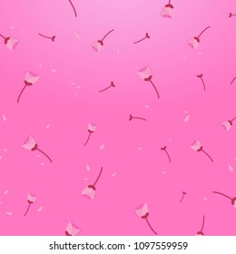 soft pink tulip flowers and petals scattered background