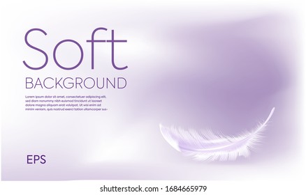 Soft purple background with feather
