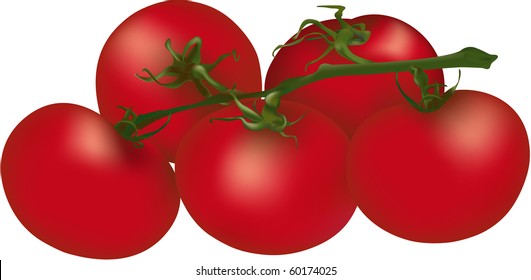 Soft red vine-ripened tomatoes looking good enough to eat.