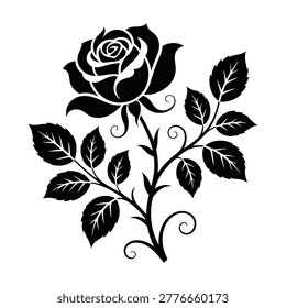Soft Rose Petals Macro View Vector
