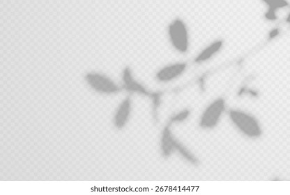Soft shade from plant on a transparent background. Shadow overlay from tree branch