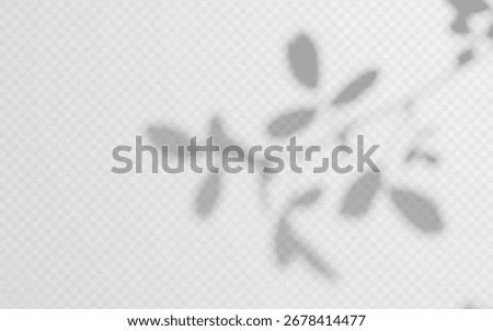 Soft shade from plant on a transparent background. Shadow overlay from tree branch