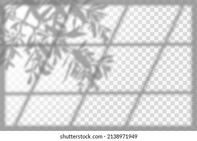 Soft shadow form window and plants, light overlay effect. Scenes of natural lighting.Effect Template for social media backgrounds, product presentations, photo shots.

