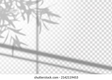 Ventana y plantas de sombra suave, efecto de superposición de luz. Escenas de iluminación natural.Plantilla de efectos para fondos de medios sociales, presentaciones de productos, fotos.

