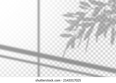 Soft shadow form window and plants, light overlay effect. Scenes of natural lighting.Effect Template for social media backgrounds, product presentations, photo shots.
