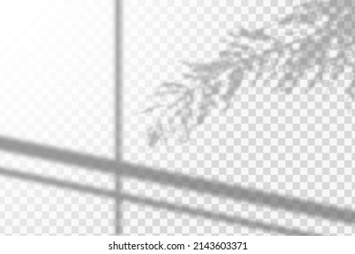 Soft shadow form window and plants, light overlay effect. Scenes of natural lighting.Effect Template for social media backgrounds, product presentations, photo shots.
