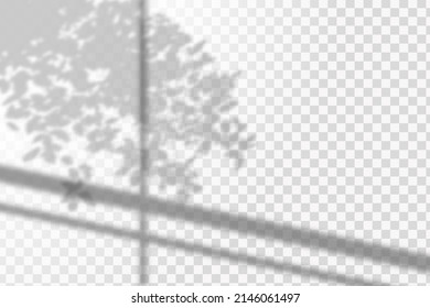 Soft shadow form window and plants, light overlay effect. Scenes of natural lighting.Effect Template for social media backgrounds, product presentations, photo shots.
