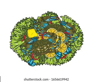 Soft ShellCrab with lemon and vegetable on white background. Soft Shell Crab vector art highly detailed in line art style.