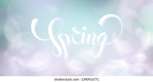 Soft spring background with purple blurred flower petals and feathers vector illustration