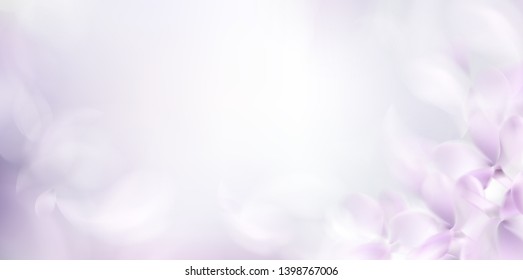 Soft spring background with purple blurred flower petals and feathers vector illustration