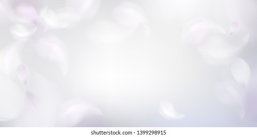 Soft spring background with purple blurred flower petals and feathers vector illustration