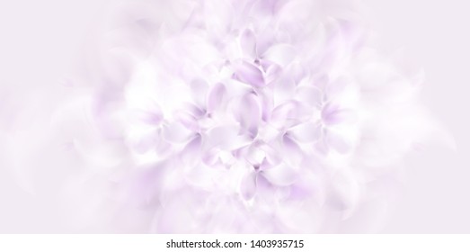 Soft spring white background with purple blurred flower petals vector illustration