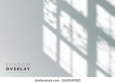 Soft sunlight streams through a window frame, casting quiet, dreamy shadows on a white wall, reminding us of slow, peaceful mornings