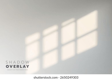 Soft sunlight streams through a window frame, casting quiet, dreamy shadows on a white wall, reminding us of slow, peaceful mornings
