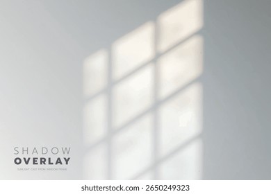 Soft sunlight streams through a window frame, casting quiet, dreamy shadows on a white wall, reminding us of slow, peaceful mornings