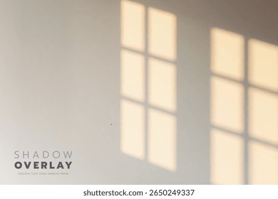 Soft sunlight streams through a window frame, casting quiet, dreamy shadows on a white wall, reminding us of slow, peaceful mornings